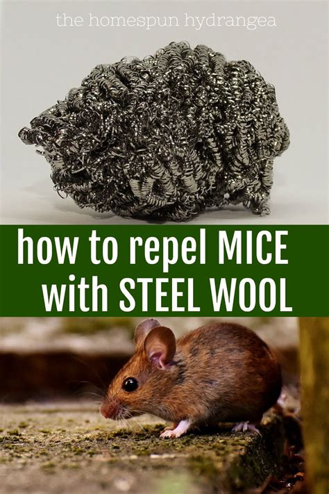 does steel wool stop mice